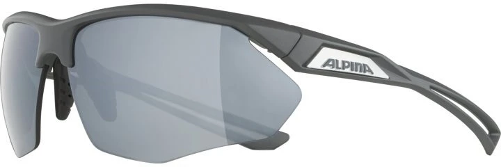 Alpina Nylos HR Sunglasses cat. 3 Pilkas