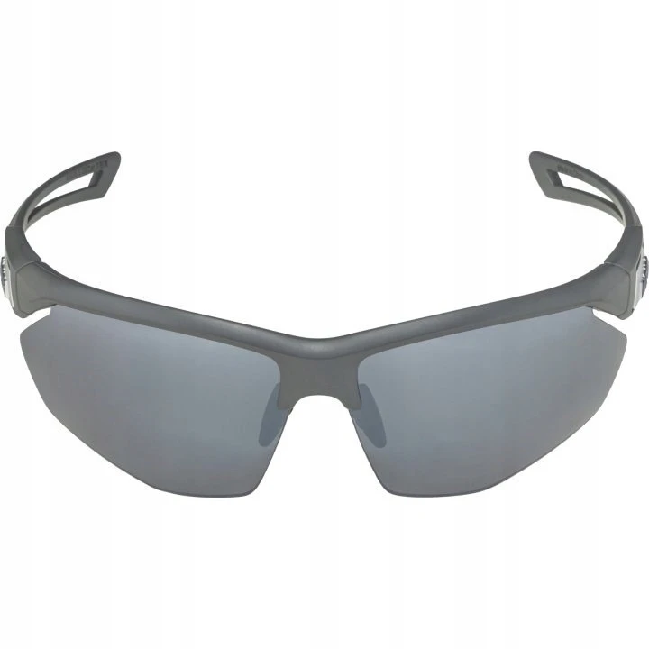 Alpina Nylos HR Sunglasses cat. 3 Pilkas