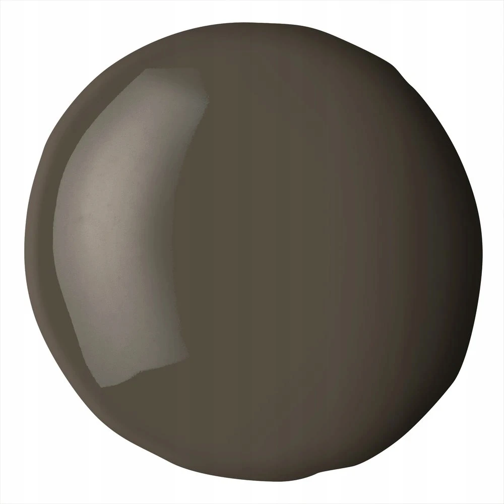Akriliniai dažai Liquitex Basics Fluid 118ml 331 raw umber