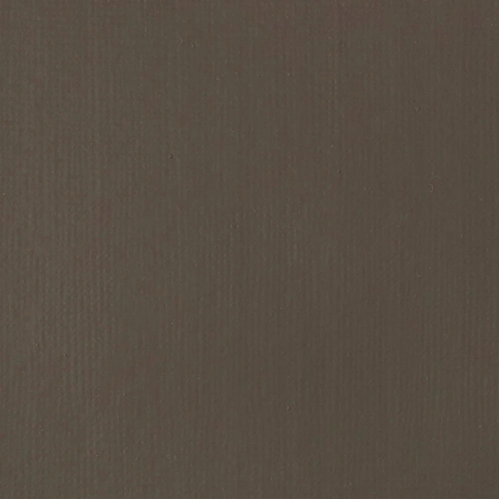 Akriliniai dažai Liquitex Basics Fluid 118ml 331 raw umber