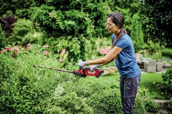 Akumuliatorinės gyvatvorių žirklės Elem Garden Technic, 20 V