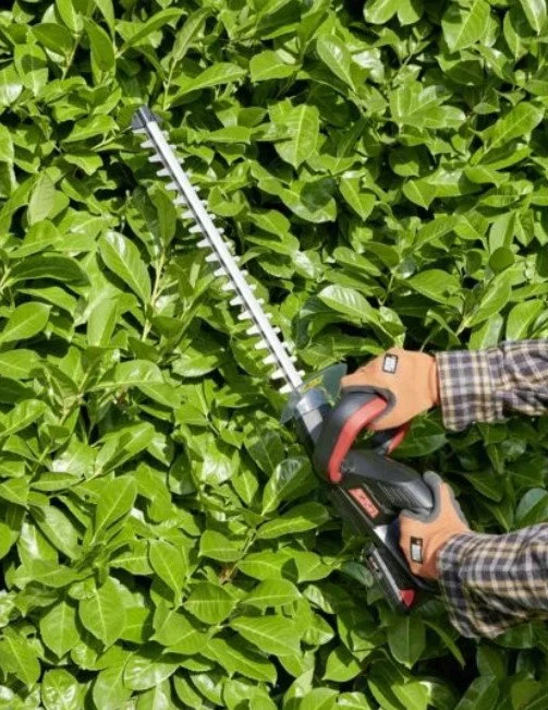 Akumuliatorinės gyvatvorių žirklės Elem Garden Technic, 20 V