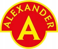 Alexander Magnetinės šaldytuvo raidės 100 gabalų