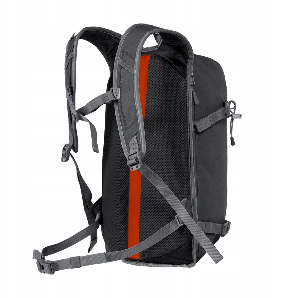 Alpinus Peyto 22l: Turistinis, miesto, alpinizmo kuprinė