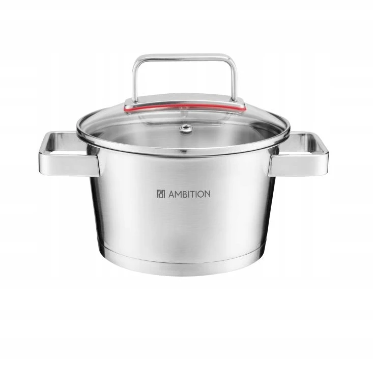 AMBITION PLIENINIS PUODAS SU DANČIU SELECTION 24 CM 5,3 L