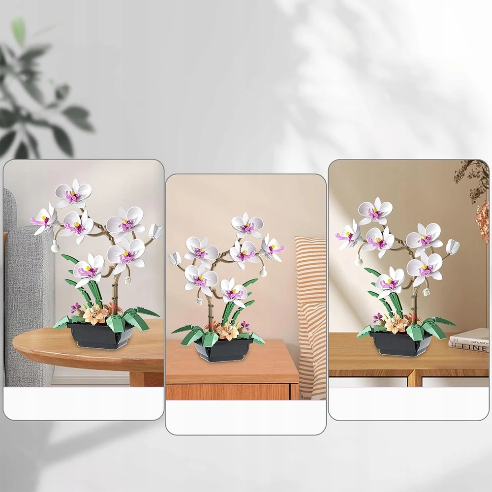 AMŽINŲ KALULŲ STATYBOS GĖLĖS ORCHIDĖJŲ PUOKŠTAS BOTANIKOS GĖLĖS DOVANA