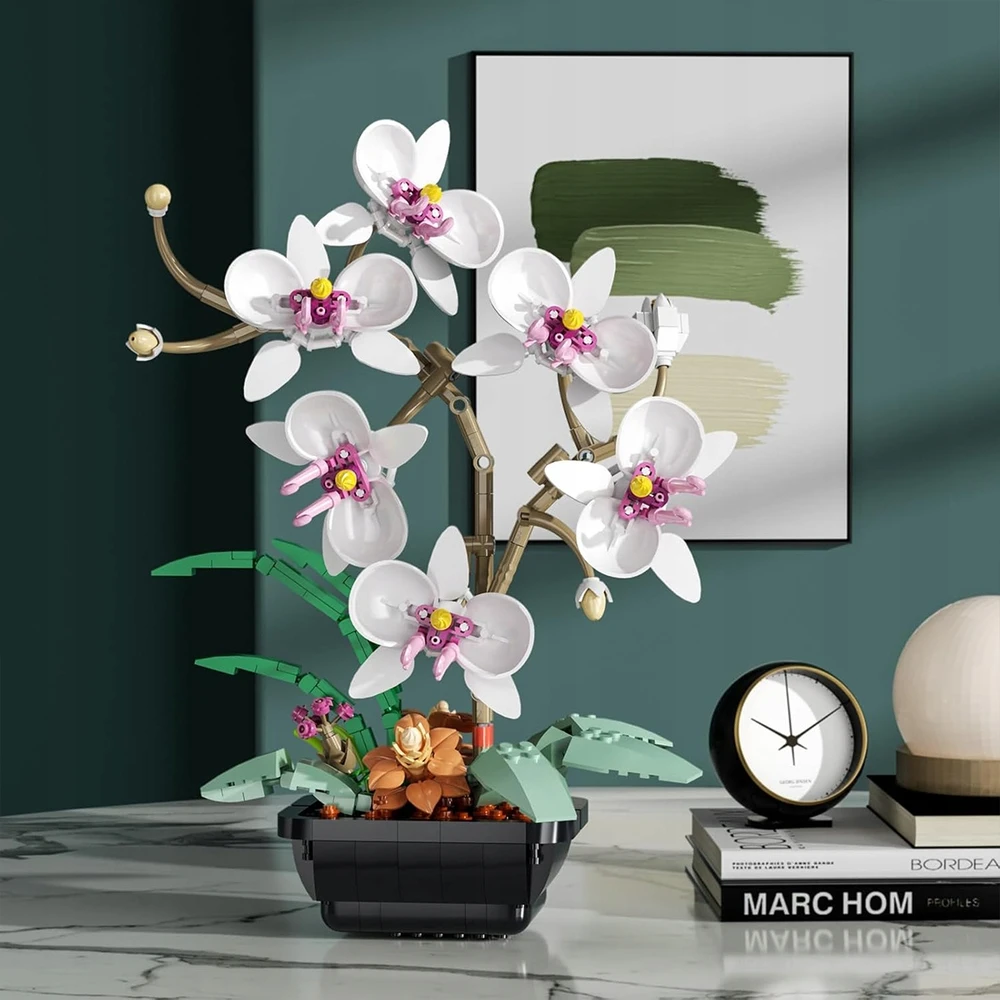 AMŽINŲ KALULŲ STATYBOS GĖLĖS ORCHIDĖJŲ PUOKŠTAS BOTANIKOS GĖLĖS DOVANA