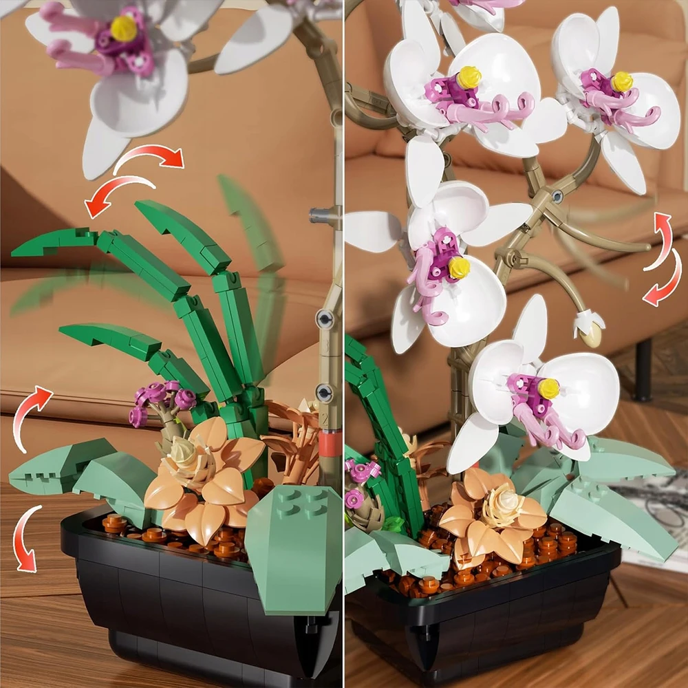 AMŽINŲ KALULŲ STATYBOS GĖLĖS ORCHIDĖJŲ PUOKŠTAS BOTANIKOS GĖLĖS DOVANA