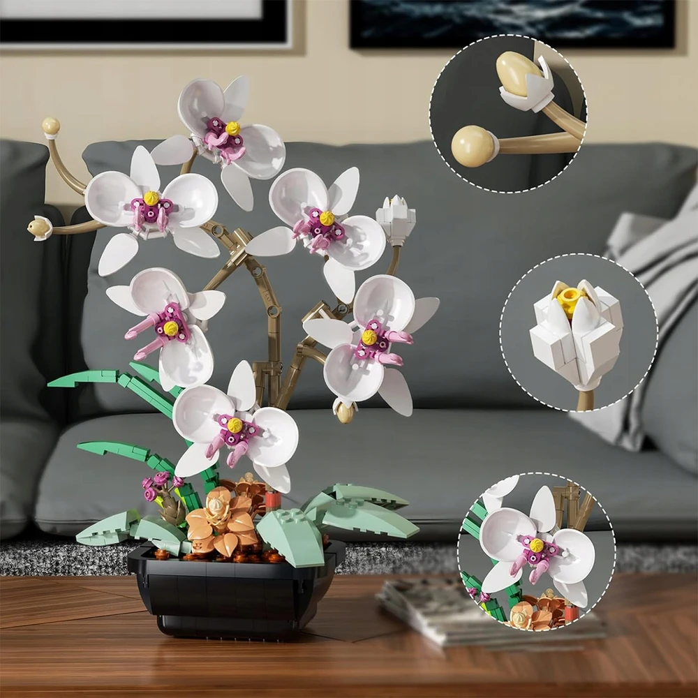 AMŽINŲ KALULŲ STATYBOS GĖLĖS ORCHIDĖJŲ PUOKŠTAS BOTANIKOS GĖLĖS DOVANA