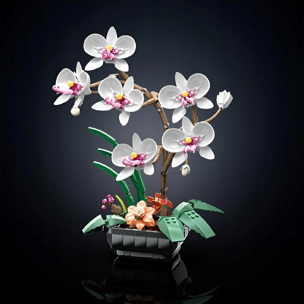 AMŽINŲ KALULŲ STATYBOS GĖLĖS ORCHIDĖJŲ PUOKŠTAS BOTANIKOS GĖLĖS DOVANA