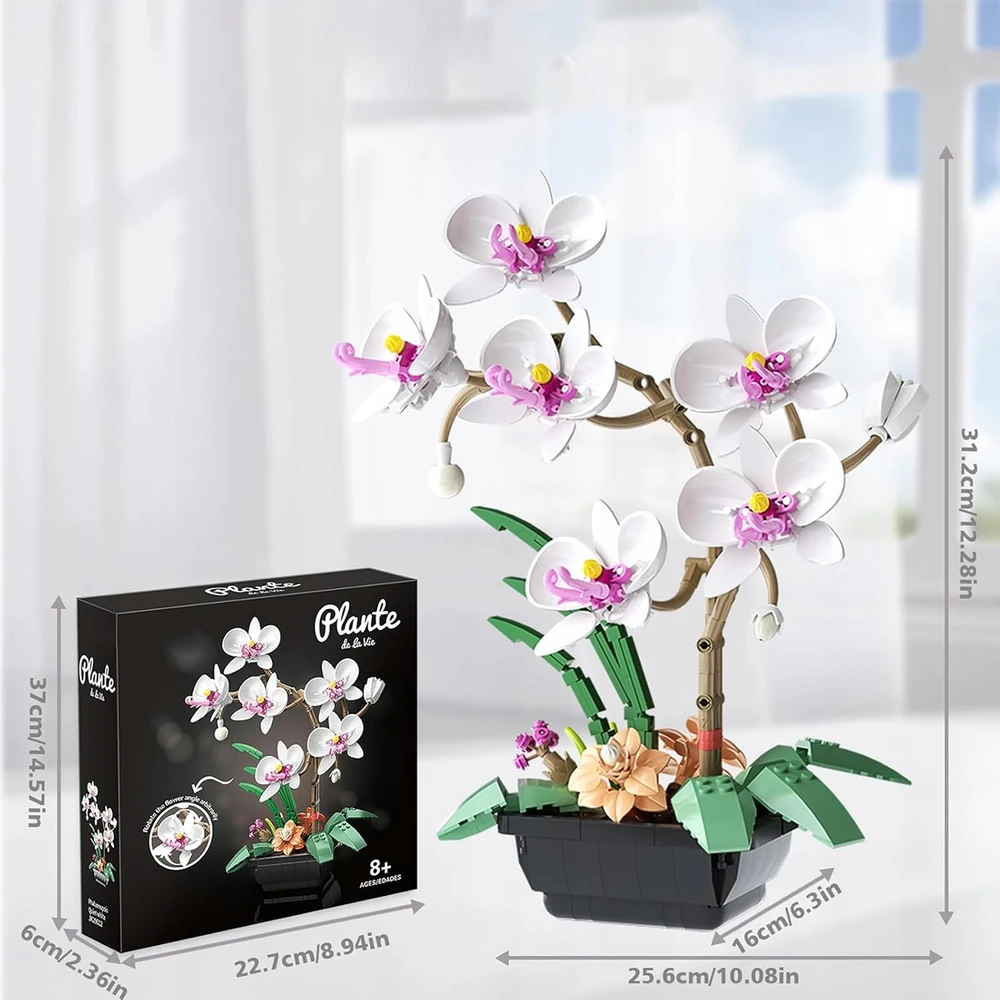 AMŽINŲ KALULŲ STATYBOS GĖLĖS ORCHIDĖJŲ PUOKŠTAS BOTANIKOS GĖLĖS DOVANA