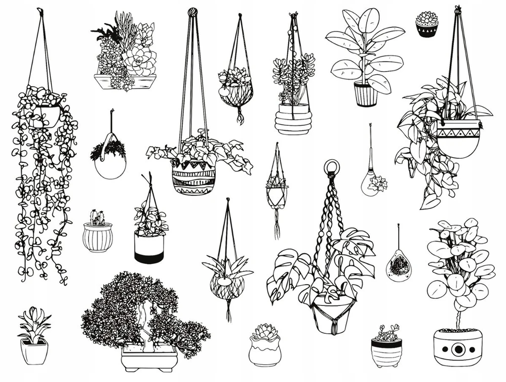 Antspaudų rinkinys Aladine Creative Stamp 21vnt. Plants + pagalvėlė antspaudams juoda
