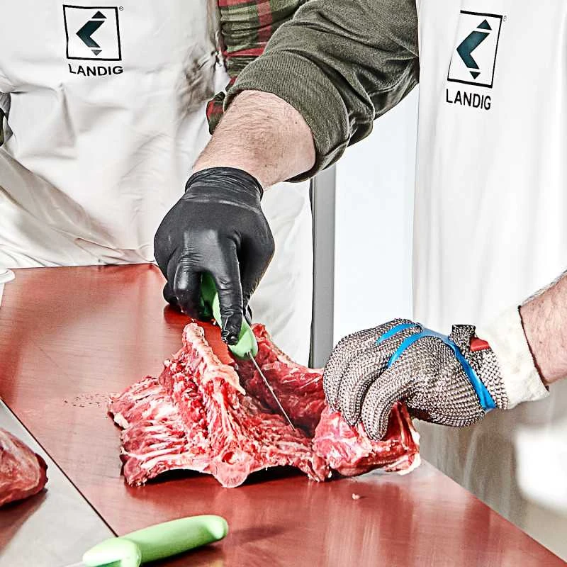 Landig + Lava GmbH &amp; Co. KG GMBH & CO LANDIG Z33039 Apsauginės pirštinės, XL (9-10) dyd.