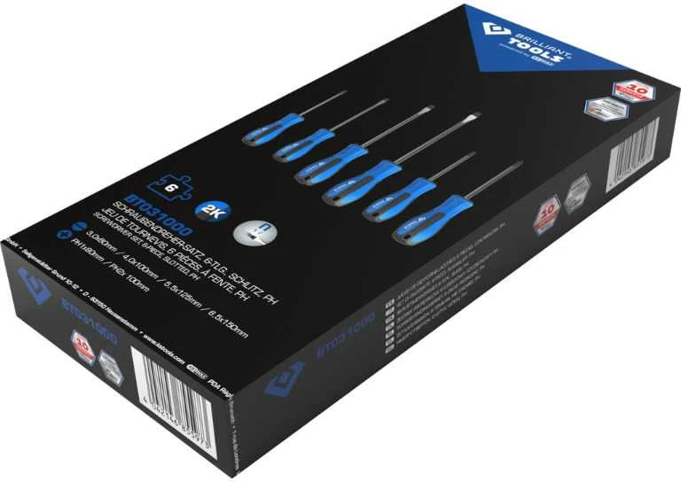 6 dalių atsuktuvų rinkinys KS TOOLS BT031000