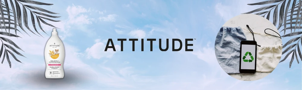 Attitude