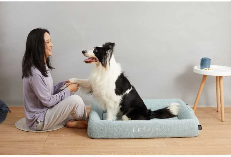 PETKIT | Gilus miegas visą sezoną Pet Bed M | Žalias