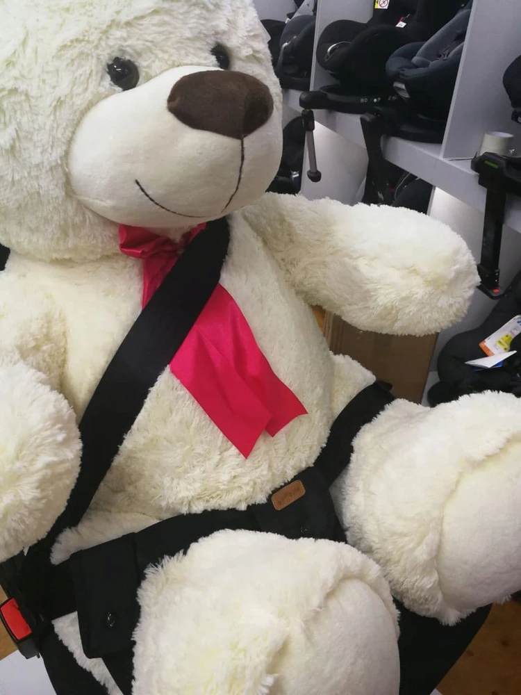 Bambino Saugos diržo adapteris nėščiosioms Top Gal