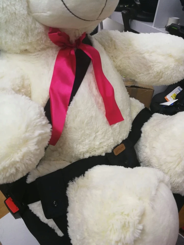 Bambino Saugos diržo adapteris nėščiosioms Top Gal