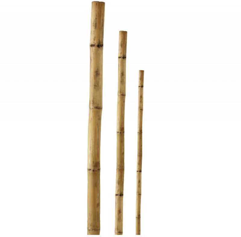Besk Bambukinė atrama 210 cm Ruda