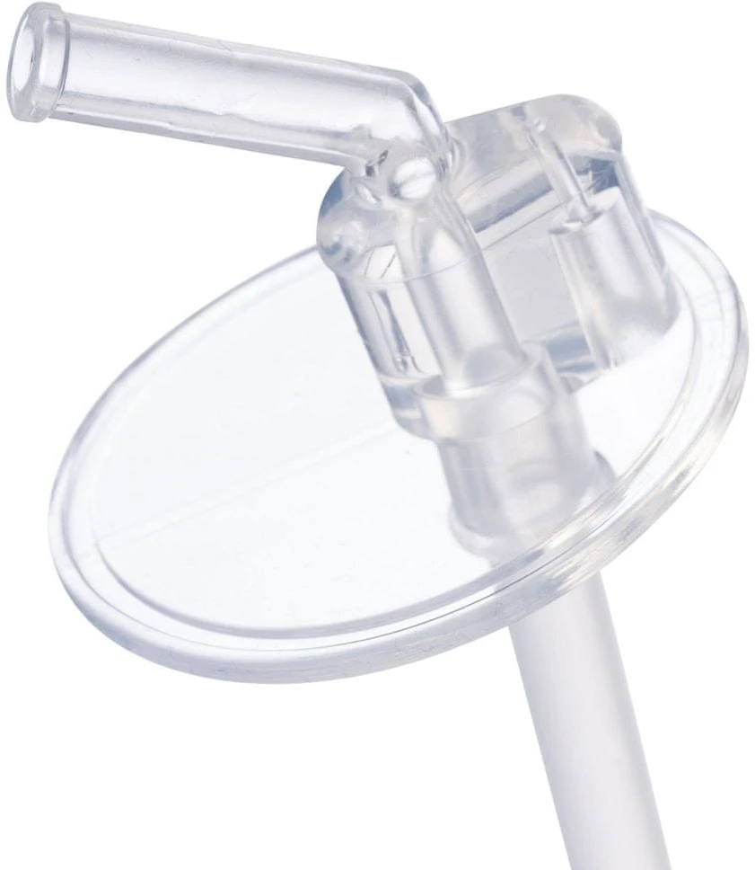 b.box termo buteliukas 350 ml Citrininis šerbetas, 1 vnt.