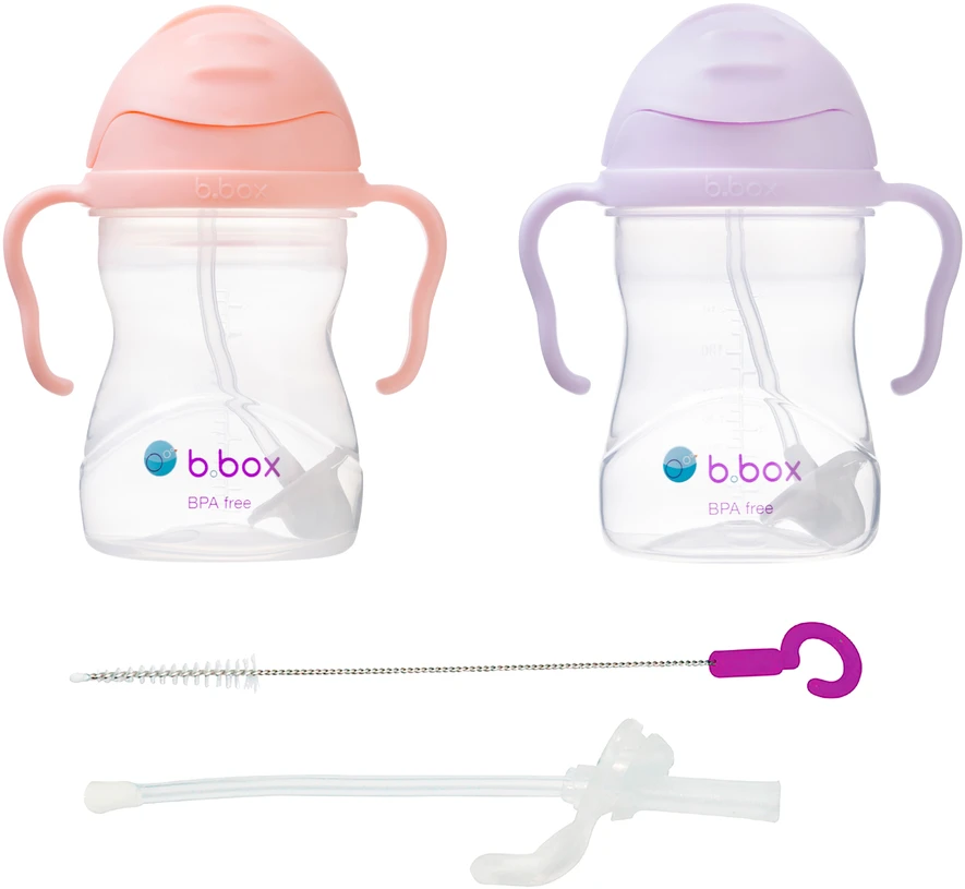 B.box vandens buteliukų rinkinys vaikams, 2 vnt. (tutti fruitti + boysenberry) + šiaudai