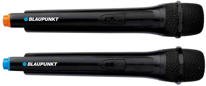 Blaupunkt PB12DB nešiojama kolonėlė
