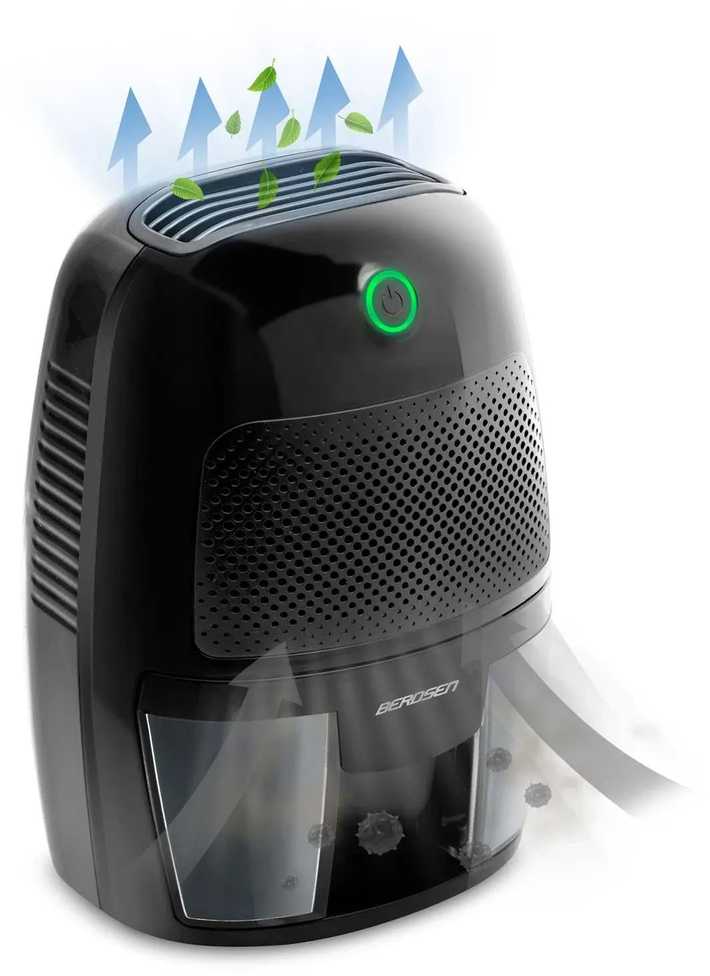 „Berdsen BR-50B“ juodas oro sausintuvas su automobilio adapteriu
