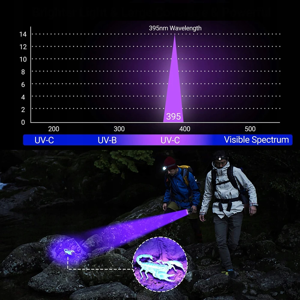 Bez Marki GALINGAS UV žibintuvėlis GINTARO PAIEŠKAMS, 12 šviesos diodų, 395 nm ULTRAVIOLETA + AAA baterijos