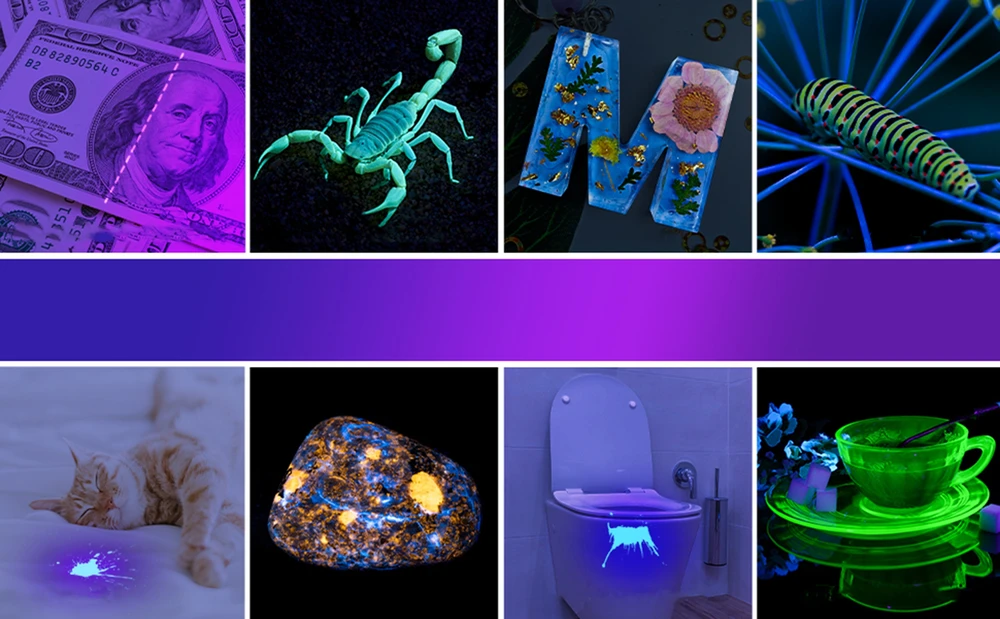 Bez Marki GALINGAS UV žibintuvėlis GINTARO PAIEŠKAMS, 12 šviesos diodų, 395 nm ULTRAVIOLETA + AAA baterijos