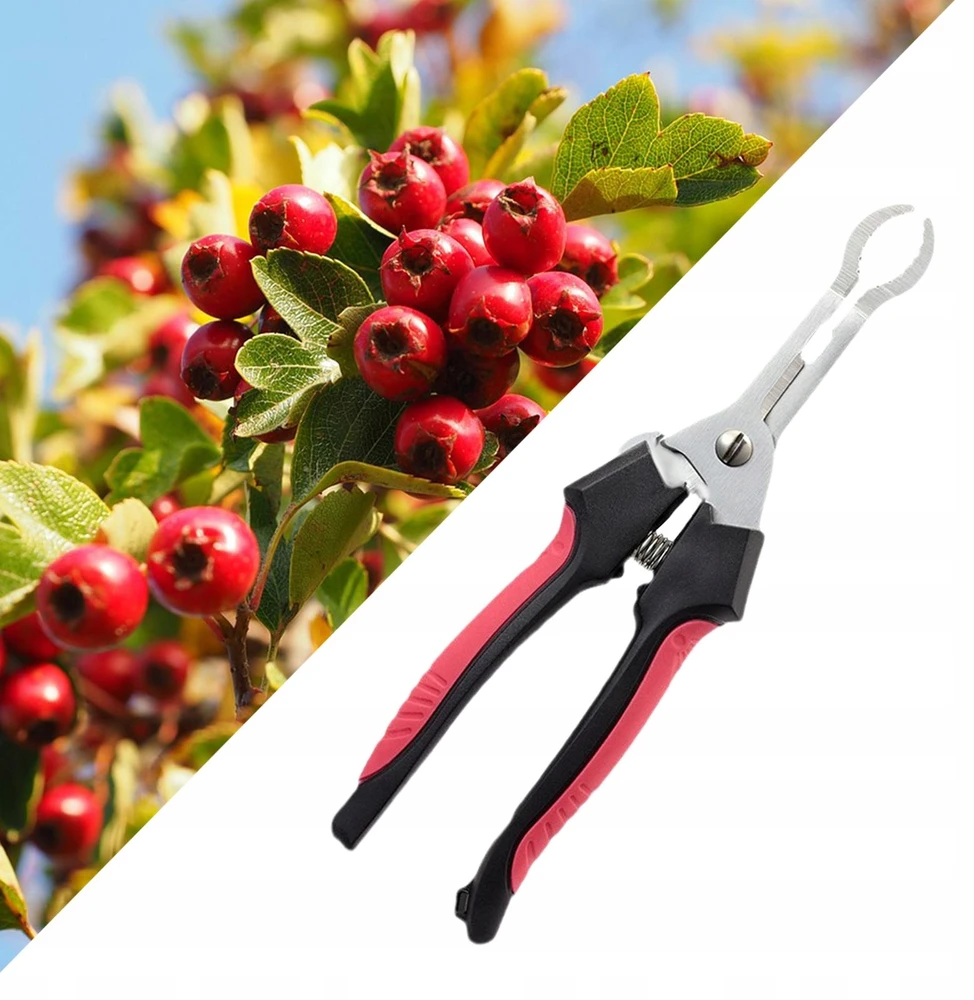 Bez Marki Hawthorn Jujube žnyplės Hawthorn Fruit Corer Easy Raudona Fruit Stone Remover