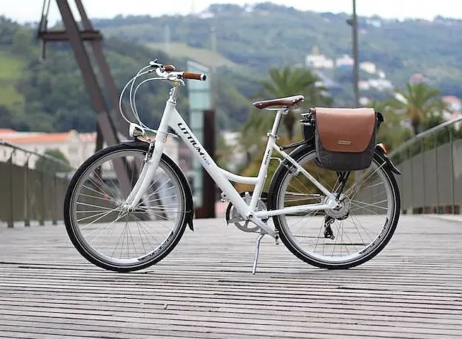 Bez Marki Krepšys rowerowa Littium By Kaos 80044 ruda 22l