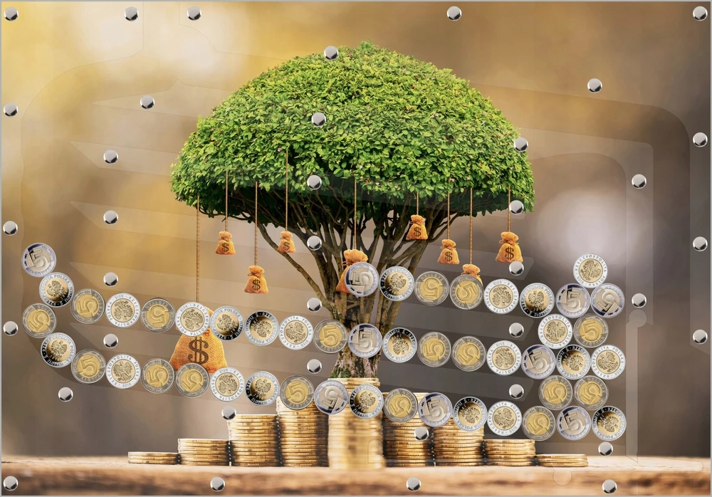 Bez Marki Puiki „Piggy Bank“ dovana už 5 PLN automatinio laimės ir pinigų išėmimo modelius