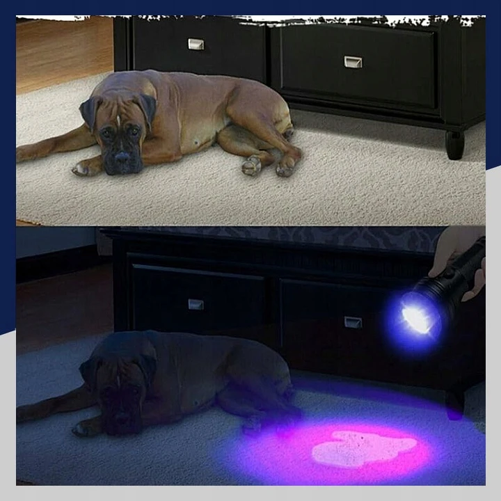 Bez Marki UV žibintuvėlis 100 LED UV detektorius gintaro spalvos oro kondicionavimo kontrasto šlapimo banknotai