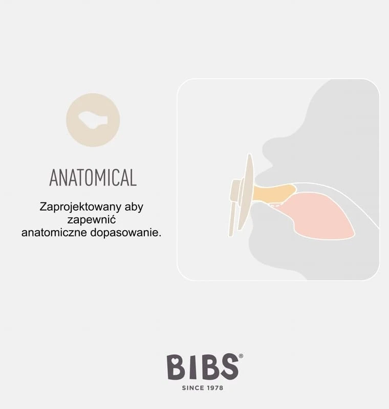 Bibs anatomiciniai čiulptukai 6m+, kaučiukas, 2 vnt.