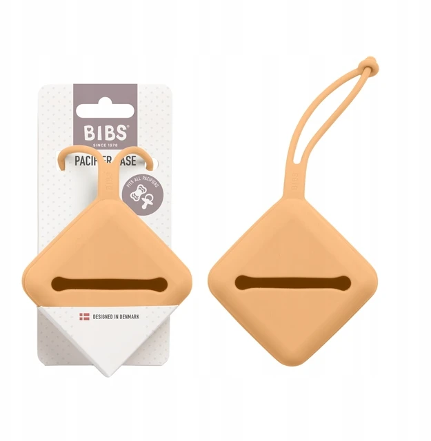 BIBS čiulptuko dėklas Pumpkin