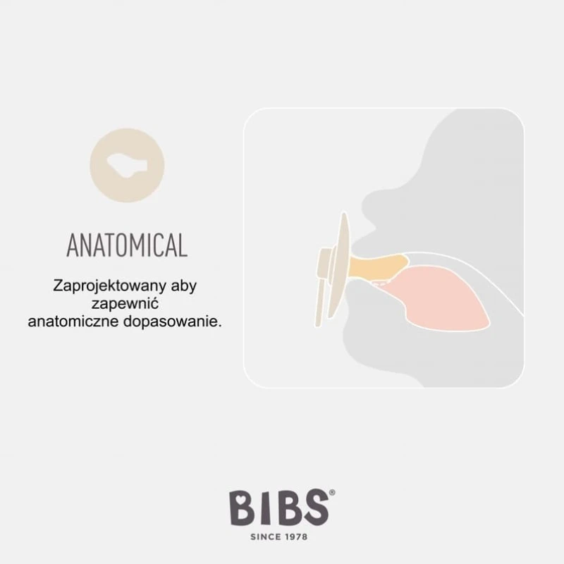Bibs Colour anatomicinis čiulptukas, 2 vnt., 6 m+, kaučiukas