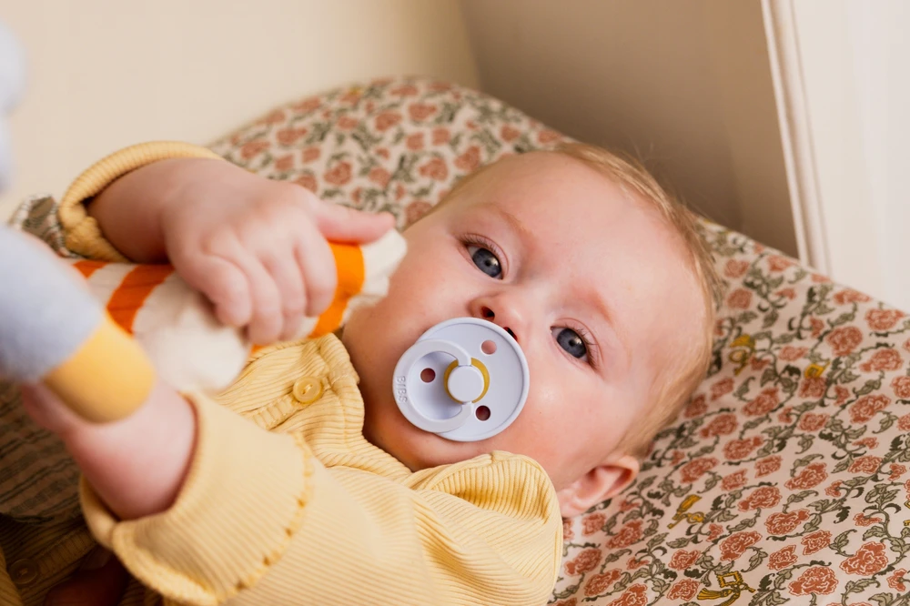 BIBS De Lux apvalių čiulptukų rinkinys 2 vnt SILICONE 0-36m Capel Sage