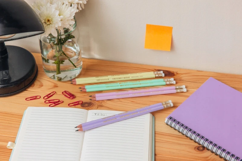 Bic Evolution Pastel Hb pieštukas su trintuku