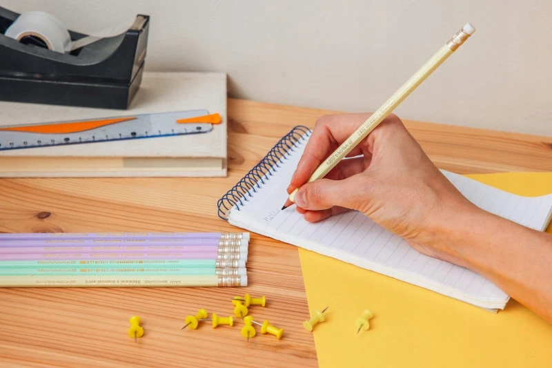 Bic Evolution Pastel Hb pieštukas su trintuku