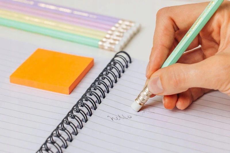 Bic Evolution Pastel Hb pieštukas su trintuku