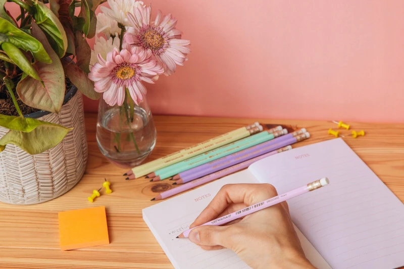 Bic Evolution Pastel Hb pieštukas su trintuku