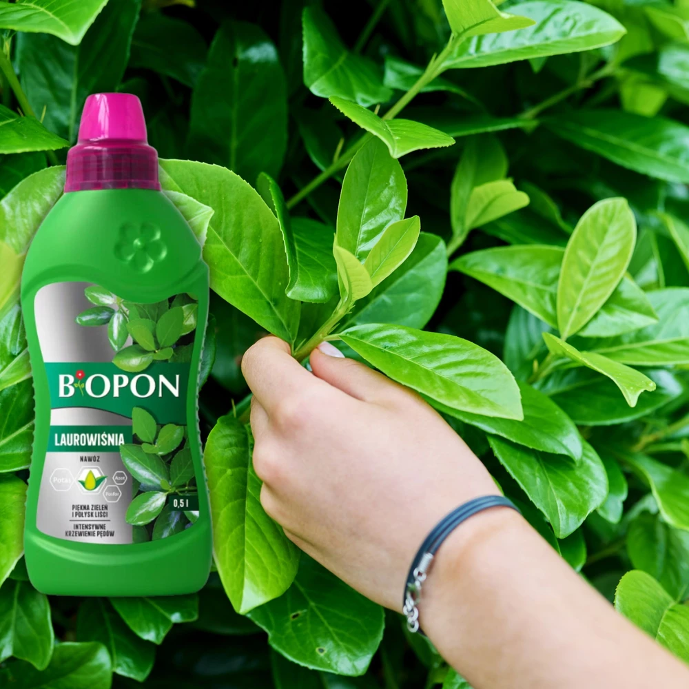 Biopon lauro trąšos 0,5 l