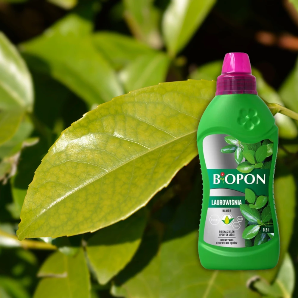 Biopon lauro trąšos 0,5 l