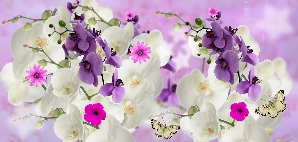 BIOPON NATŪRALUS BIOHUMUSAS orchidėjoms SKYSTOS TRAŠOS 1 L