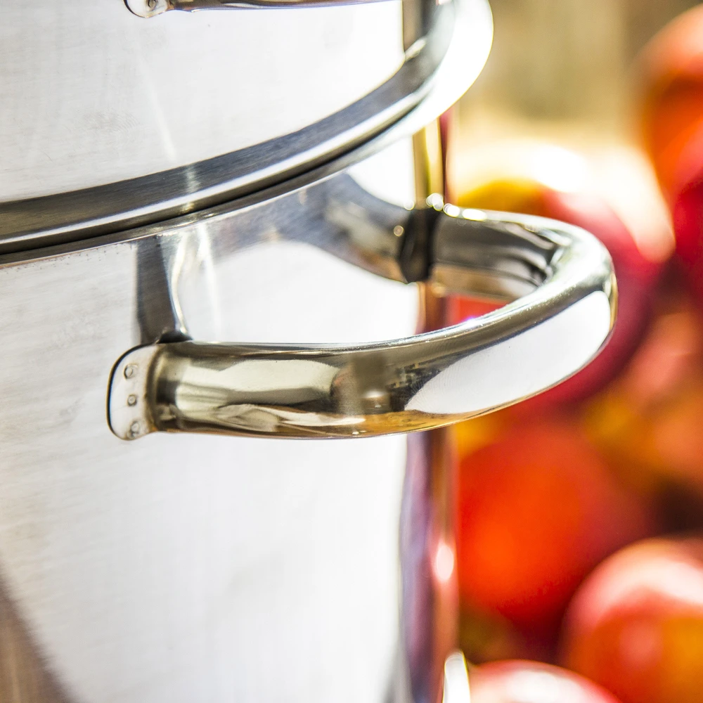 Biowin Nerūdijančio plieno garinė sulčiaspaudė SSW BIO FRUITS 8 l
