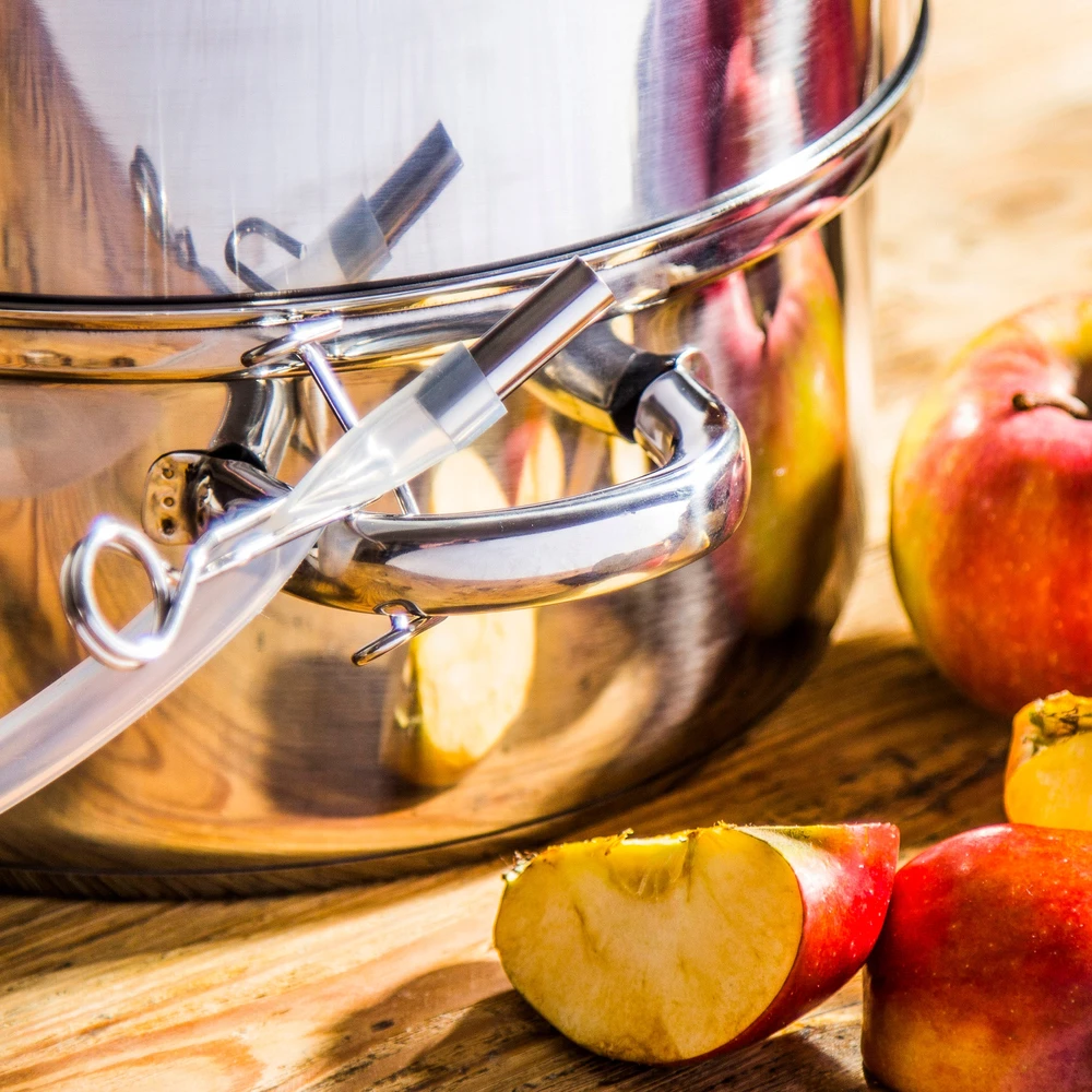 Biowin Nerūdijančio plieno garinė sulčiaspaudė SSW BIO FRUITS 8 l