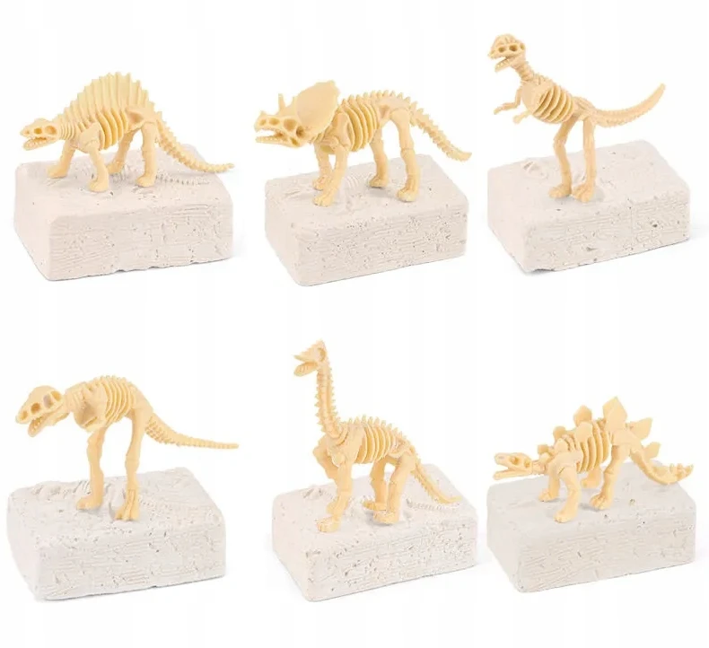 Bisky Kasinėjimų fosilijos Dinozaurai Skeletas Archeologinis rinkinys Akiniai „pasidaryk pats“.