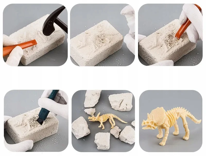 Bisky Kasinėjimų fosilijos Dinozaurai Skeletas Archeologinis rinkinys Akiniai „pasidaryk pats“.