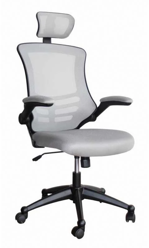 Biuro kėdė RAGUSA, 66,5xD51xH117-126cm, sėdimoji ir atraminė dalys: medžiaginis tinklelis, spalva: pilka