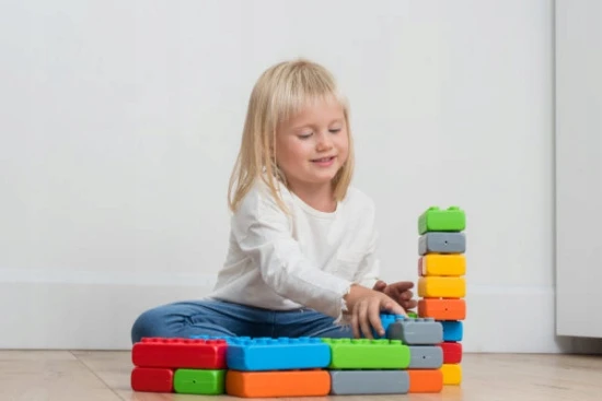Blocks Bricks Junior 60 Marioinex